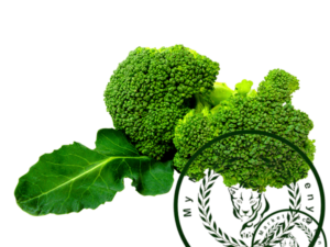 Organic Broccoli