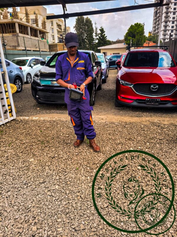 vehicle pre-purchase inspection