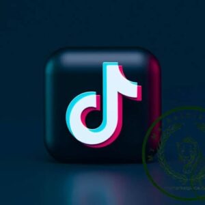 TikTok Advert(One-time)