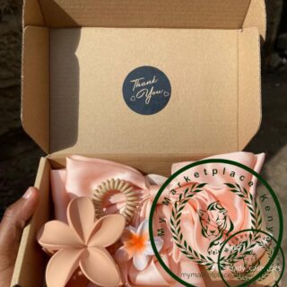 Hair Clips Set