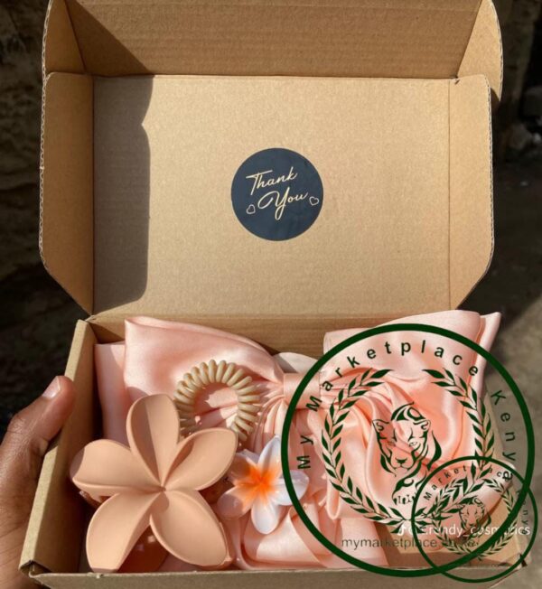Hair Clips Set