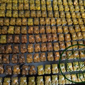 Mushroom gummies(10 pack)