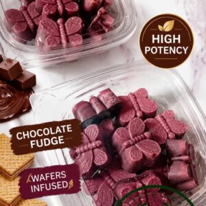 Chocolate Fudge(10 pack)