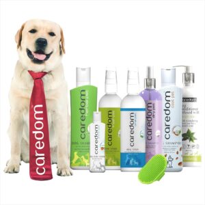 Pet Care