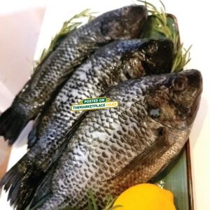 Whole Fish Tilapia — Raw